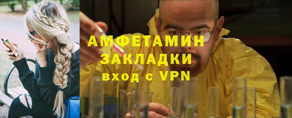 индика Балабаново