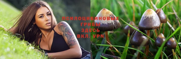 индика Балабаново