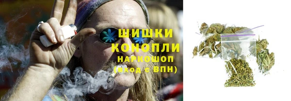 прущие грибы Богданович