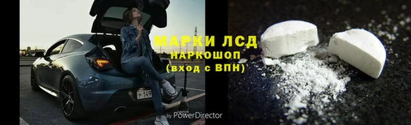 индика Балабаново