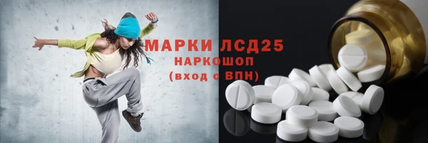 прущие грибы Баксан