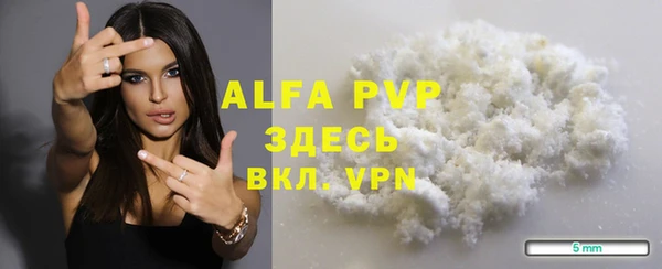 индика Балабаново