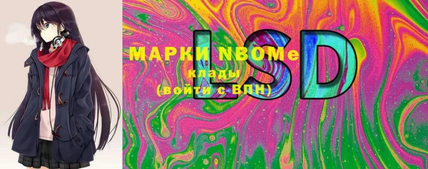 прущие грибы Богданович