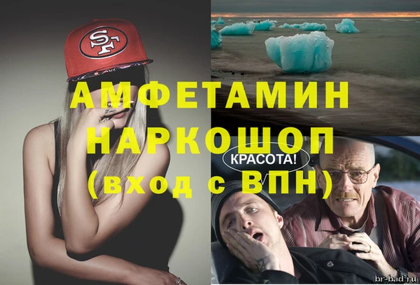 индика Балабаново