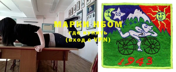 прущие грибы Баксан