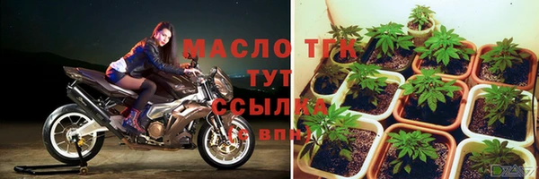 прущие грибы Баксан