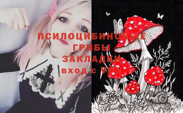 хмурый Богородск
