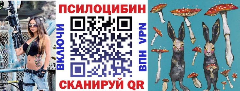 Купить где  Лихославль  Галлюциногенные грибы Psilocybine cubensis 